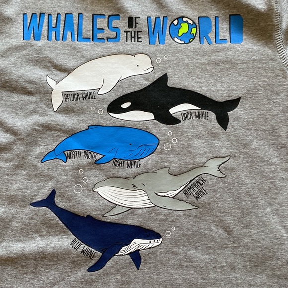 EUC Bundle of Cat&Jack and Gymboree Baby Clothes Size 12-18Months - Picture 7 of 15